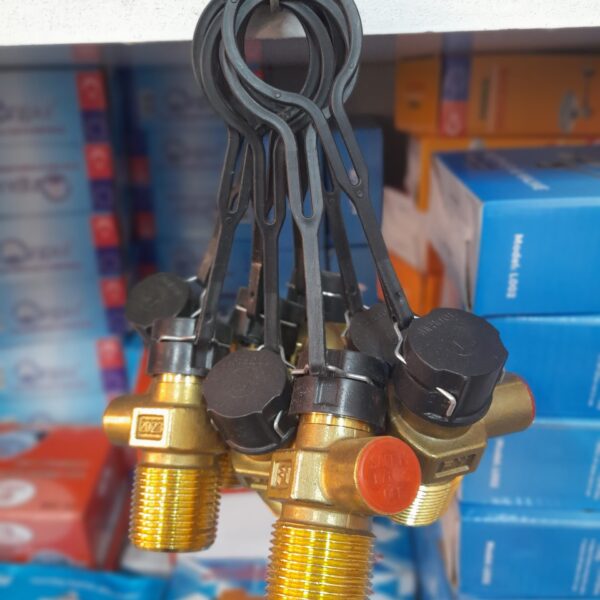 13 kg cylinder valve